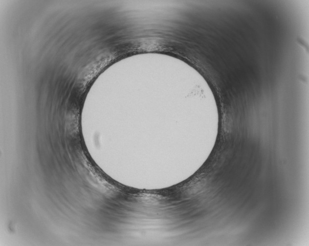 X0000103910393200810031218