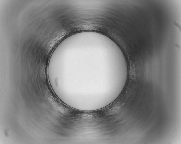 X0000103910394200810031218