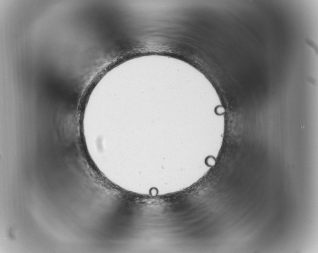 X0000103910395200810031218