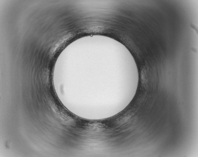 X0000103910396200810031218