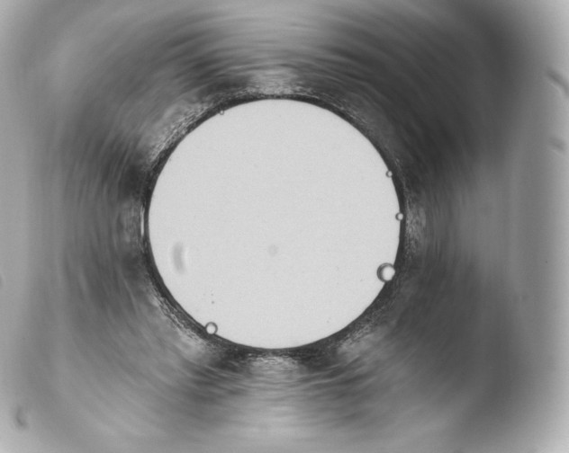 X0000103910397200810031218