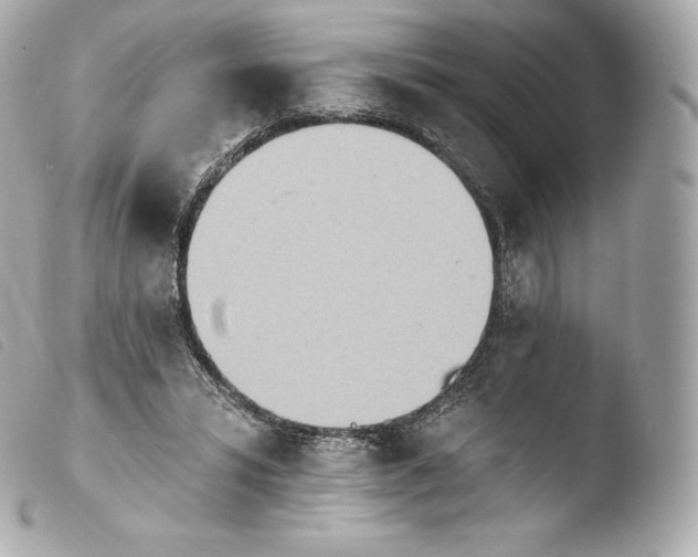 X0000103910399200810031218