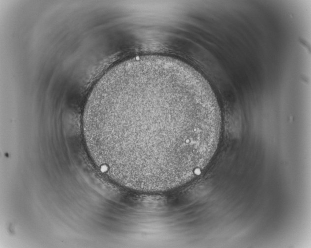 X0000103910401200810031218