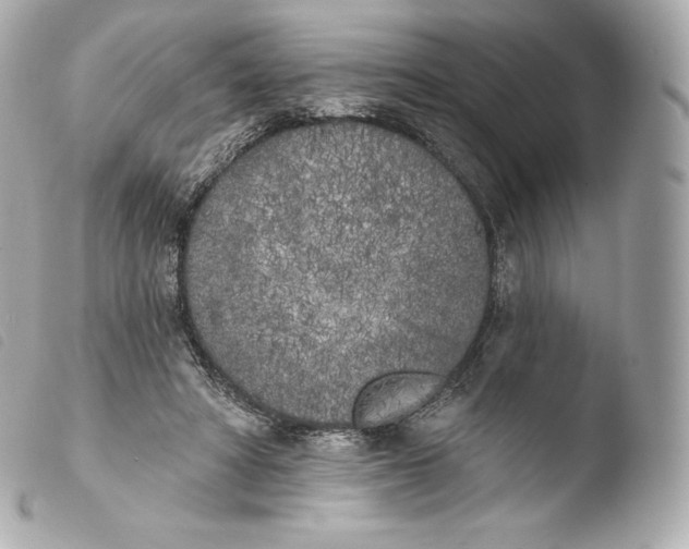 X0000103910402200810031218
