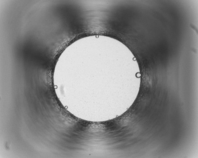 X0000103910403200810031218