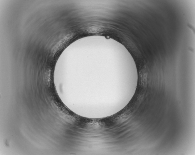 X0000103910404200810031218