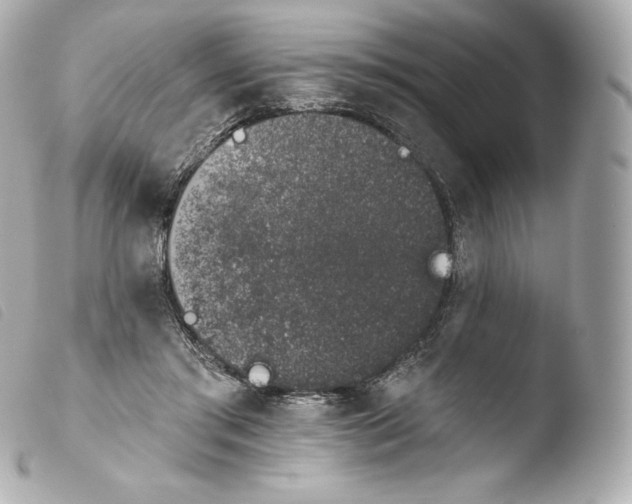 X0000103910405200810031218