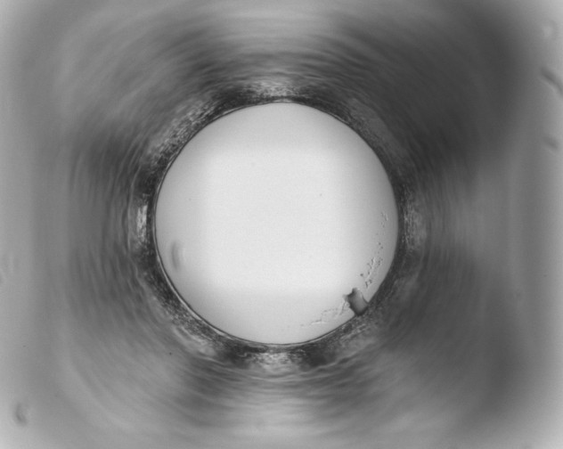 X0000103910406200810031218