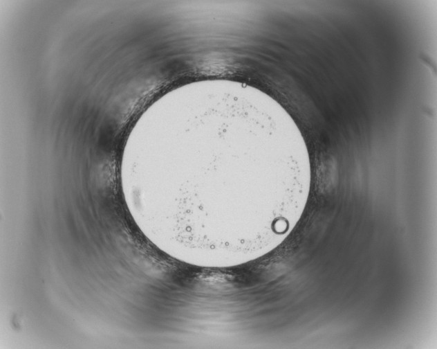 X0000103910407200810031218
