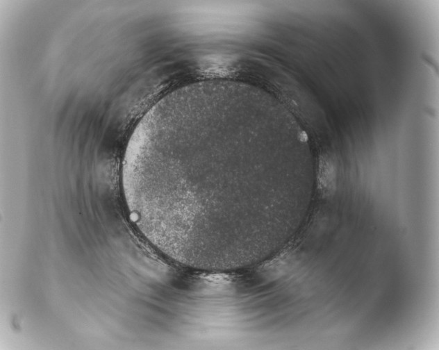 X0000103910409200810031218