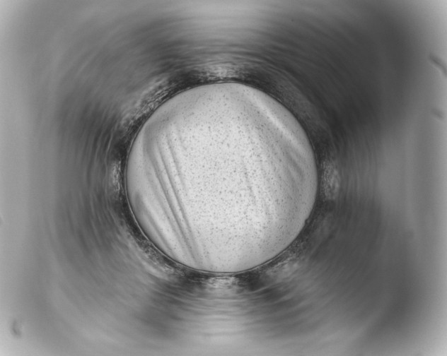 X0000103910410200810031218