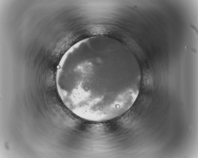 X0000103910411200810031218