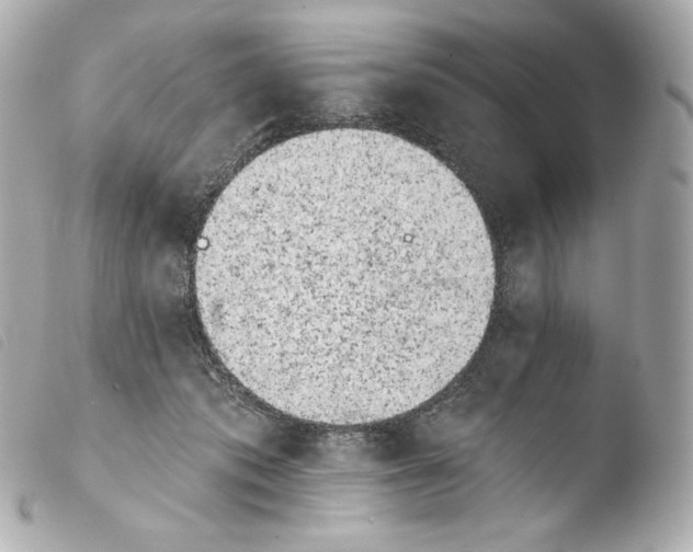 X0000103910413200810031218