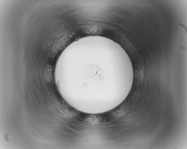 X0000103910416200810031217