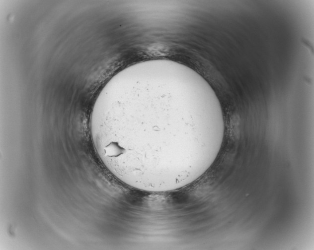 X0000103910418200810031217