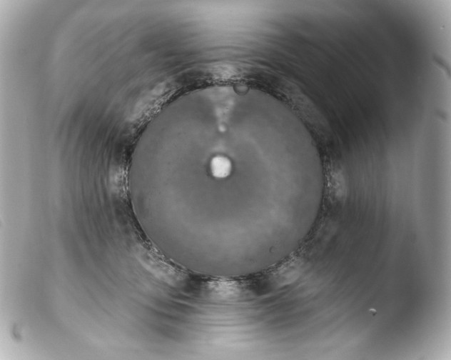 X0000103910419200810031217