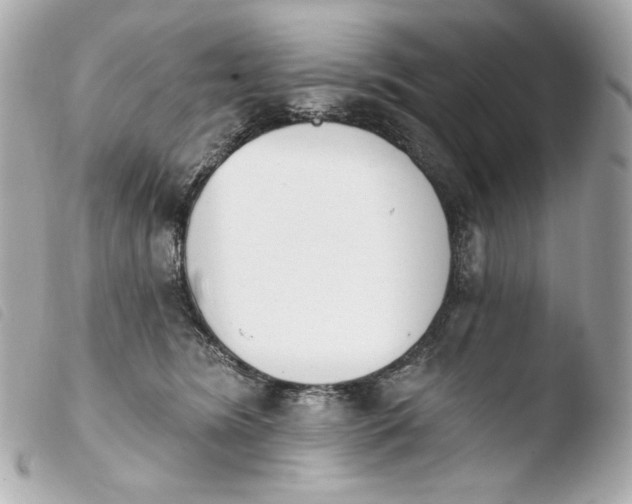 X0000103910420200810031217