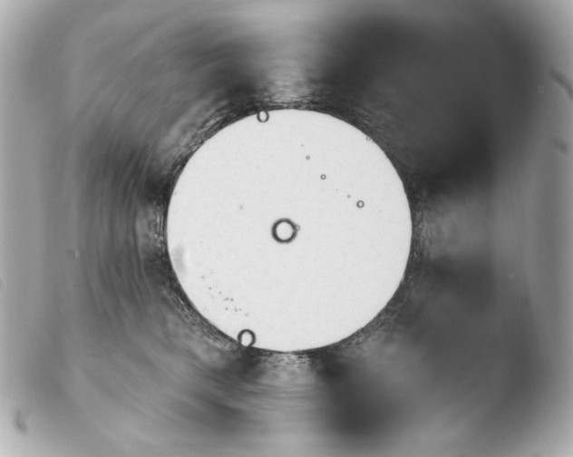 X0000103910421200810031217