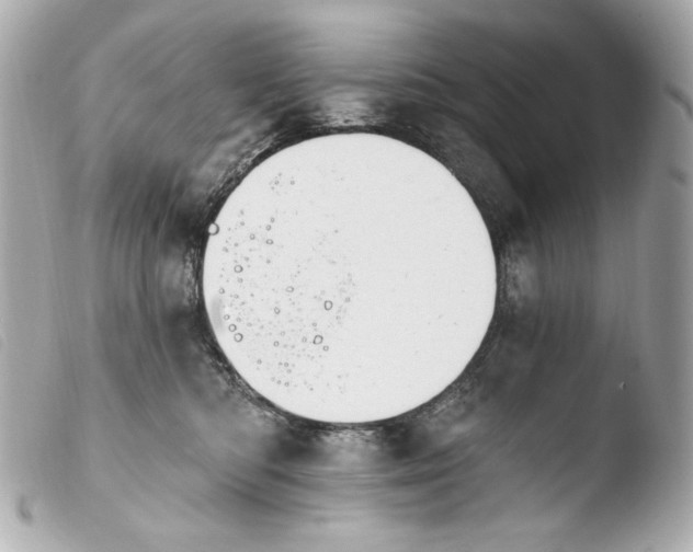 X0000103910422200810031217
