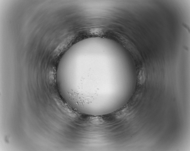 X0000103910424200810031217