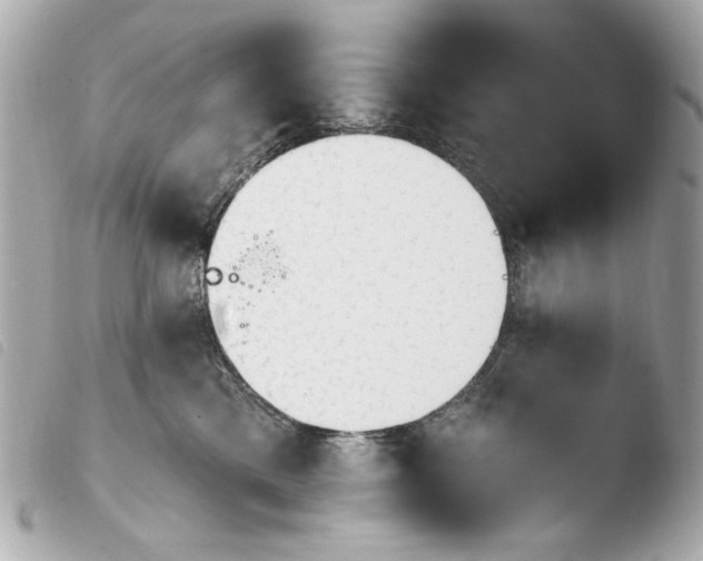 X0000103910425200810031217