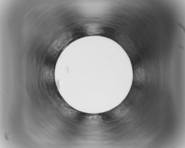 X0000103910426200810031217