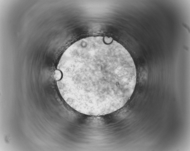 X0000103910427200810031217