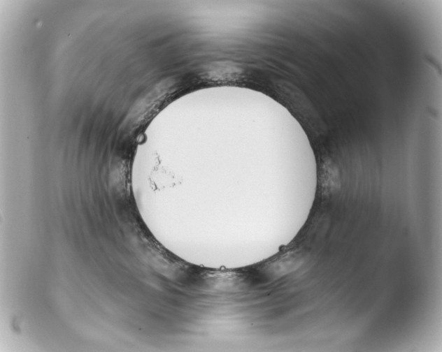 X0000103910428200810031217