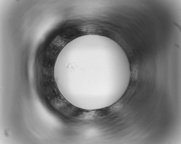 X0000103910430200810031217