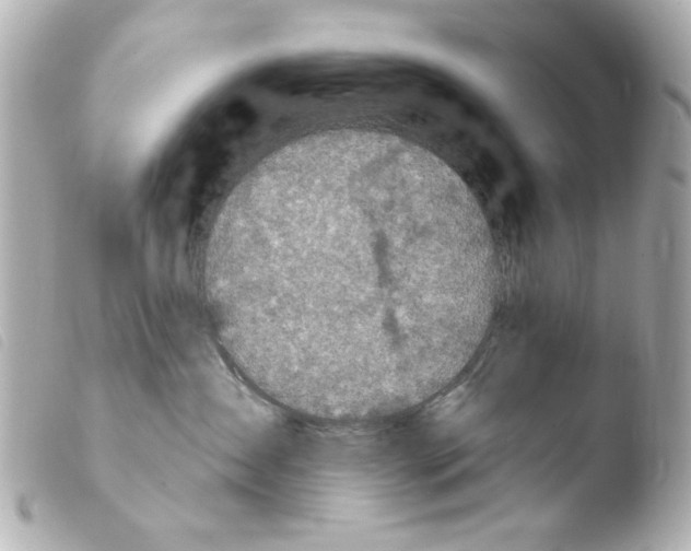 X0000103910431200810031217