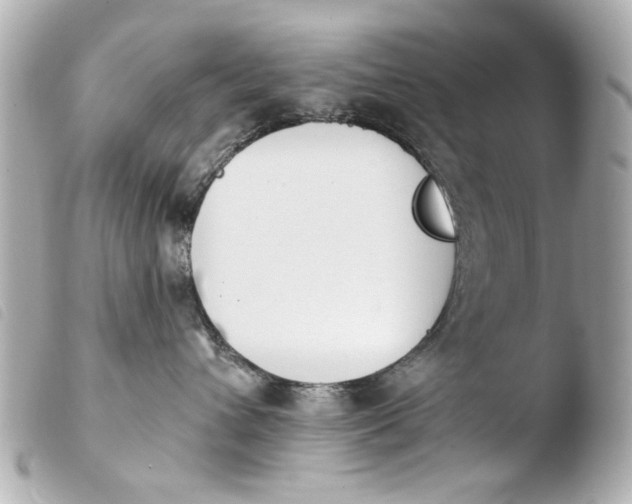 X0000103910432200810031217