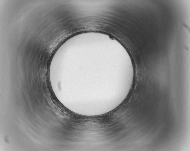 X0000103910434200810031216