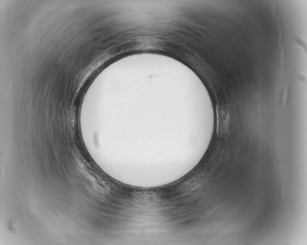 X0000103910435200810031216
