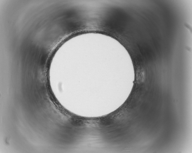 X0000103910436200810031216