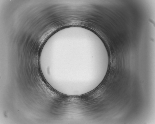 X0000103910437200810031216