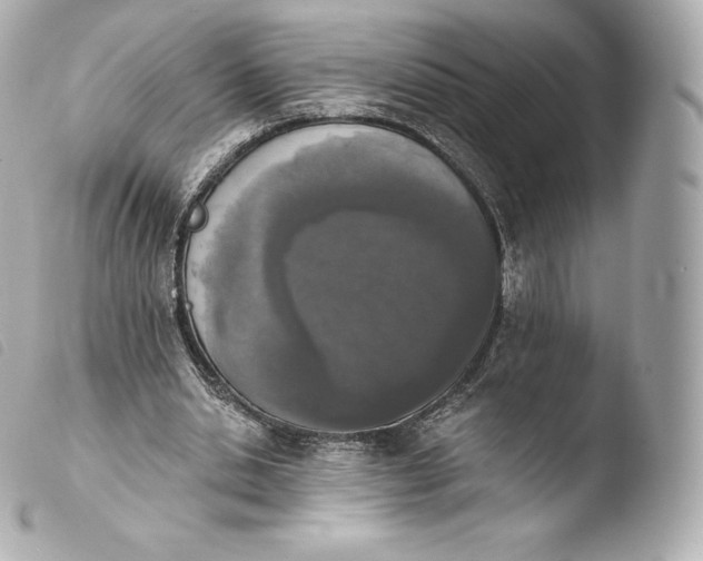 X0000103910438200810031216