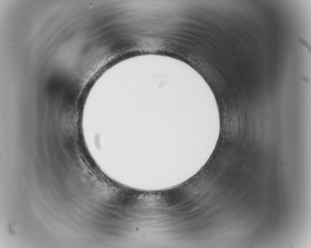 X0000103910440200810031216