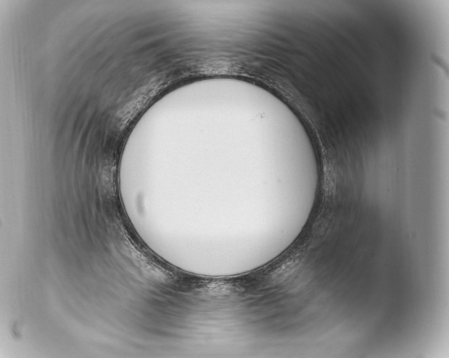 X0000103910441200810031216