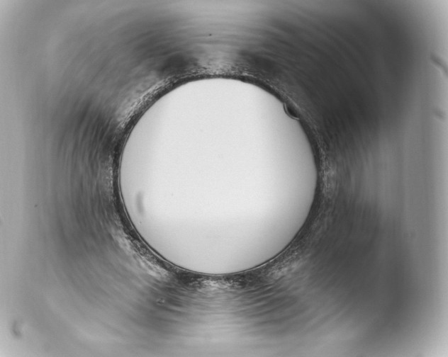 X0000103910442200810031217