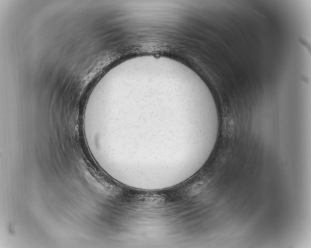 X0000103910443200810031217
