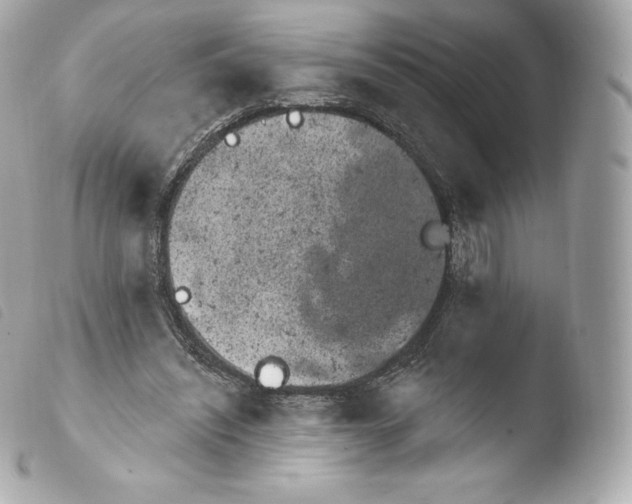 X0000103910444200810031217