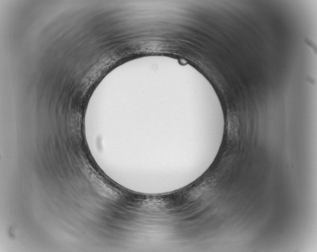 X0000103910445200810031217