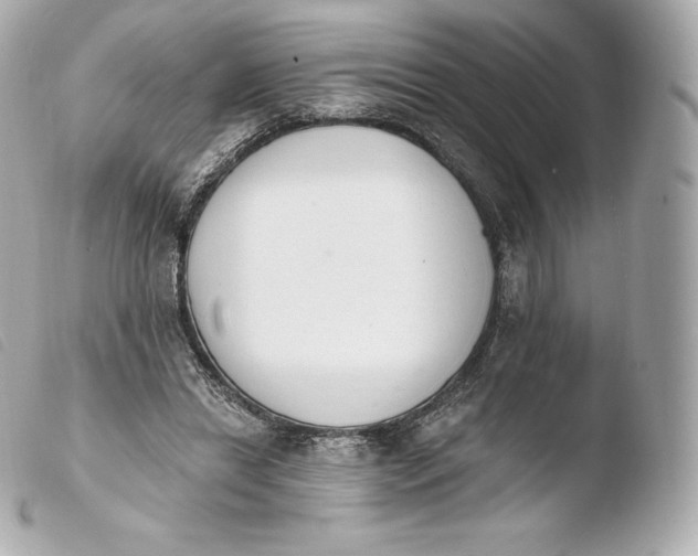 X0000103910446200810031217