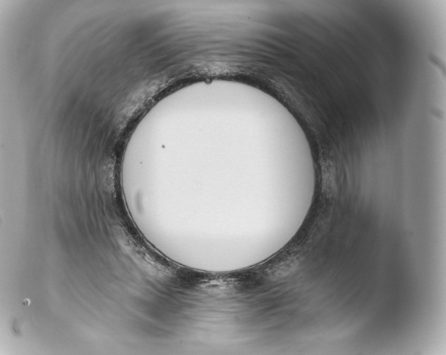 X0000103910447200810031217
