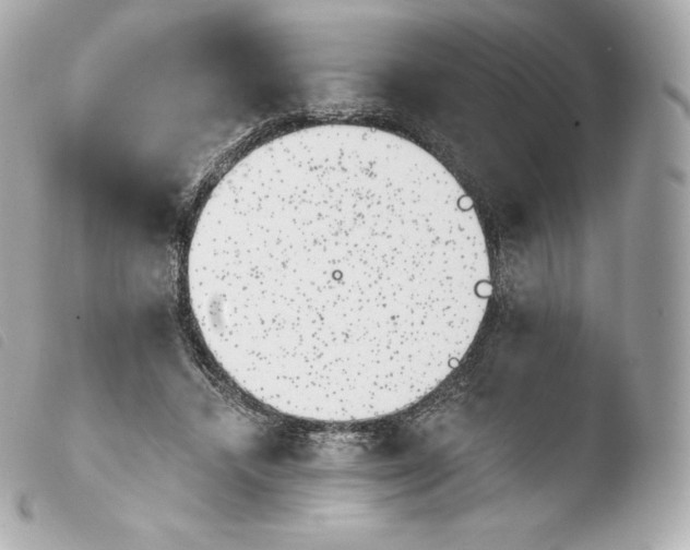 X0000103910448200810031217