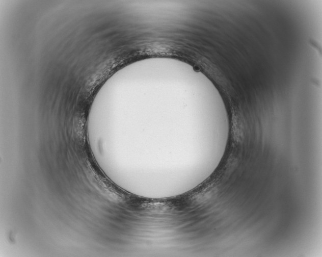 X0000103910449200810031217