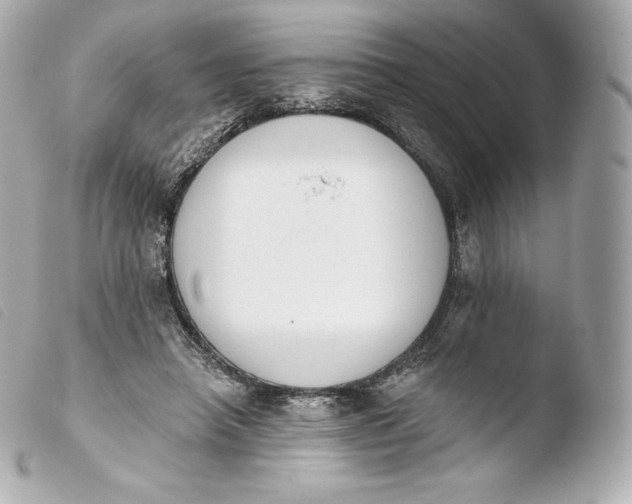 X0000103910450200810031217