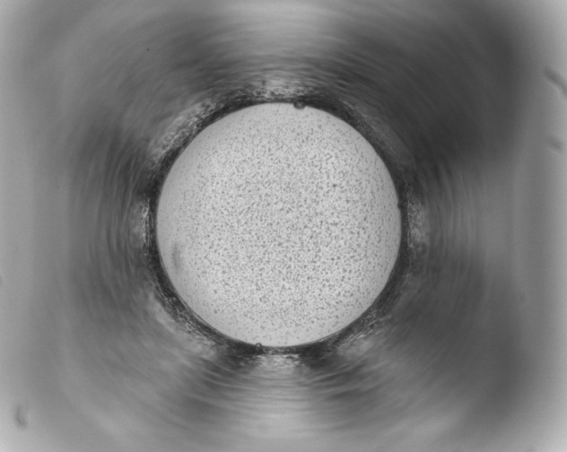 X0000103910451200810031217