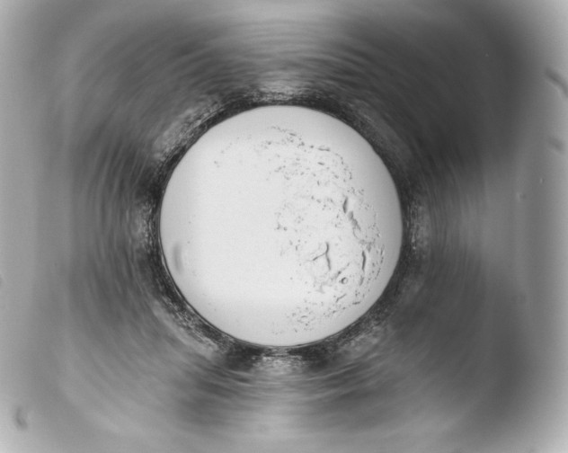 X0000103910455200810031217
