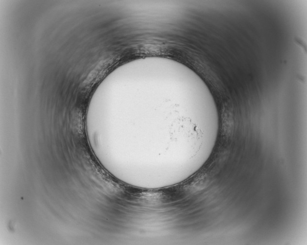 X0000103910457200810031217